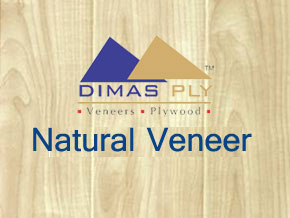 DIMAS VENEERS